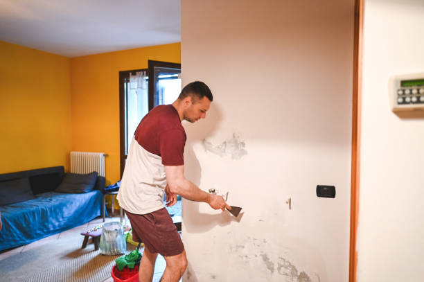 Best Local Mold Removal Service  in Palisade, CO